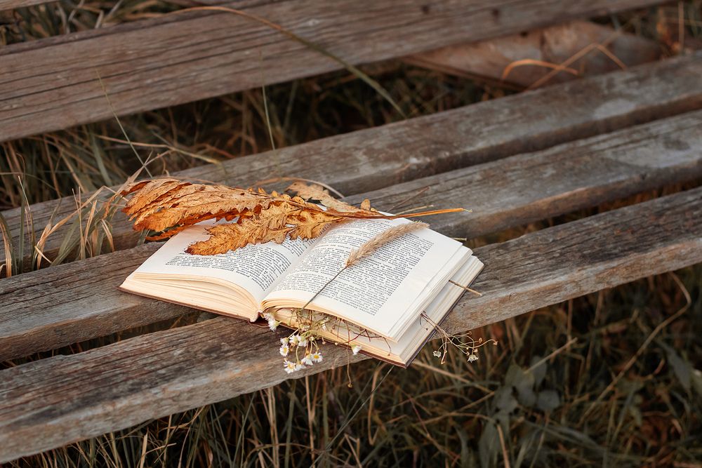 Photograph by Юлия Джура