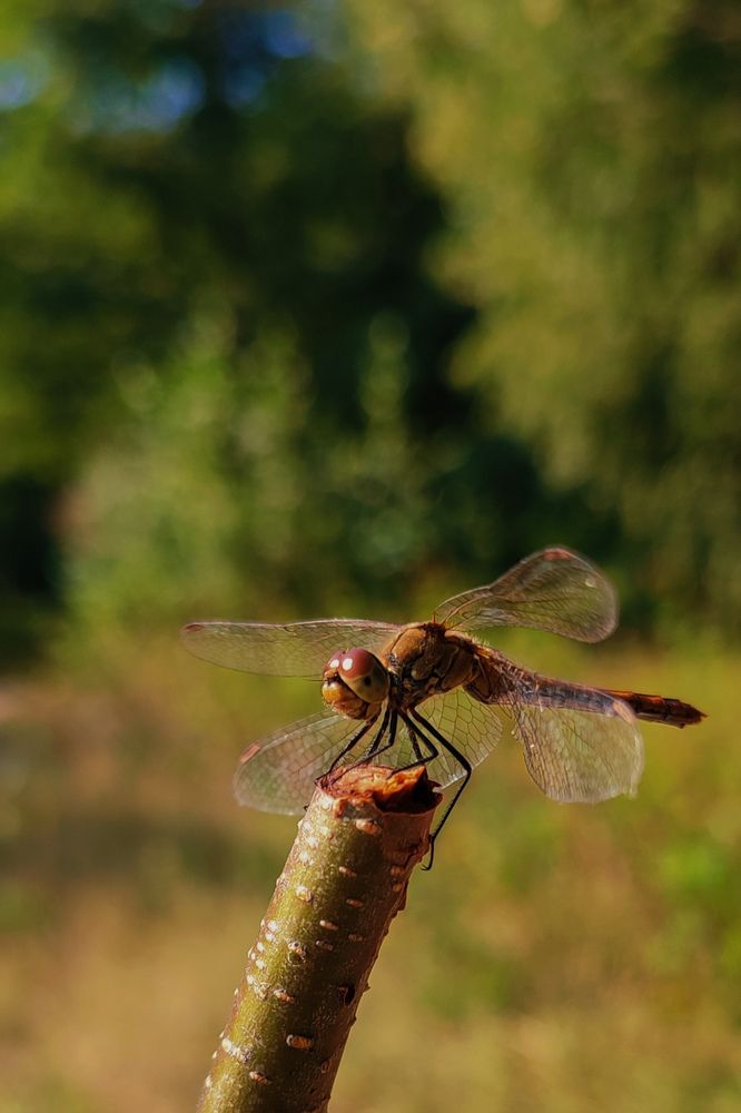 Photograph by Ольга Стебенева