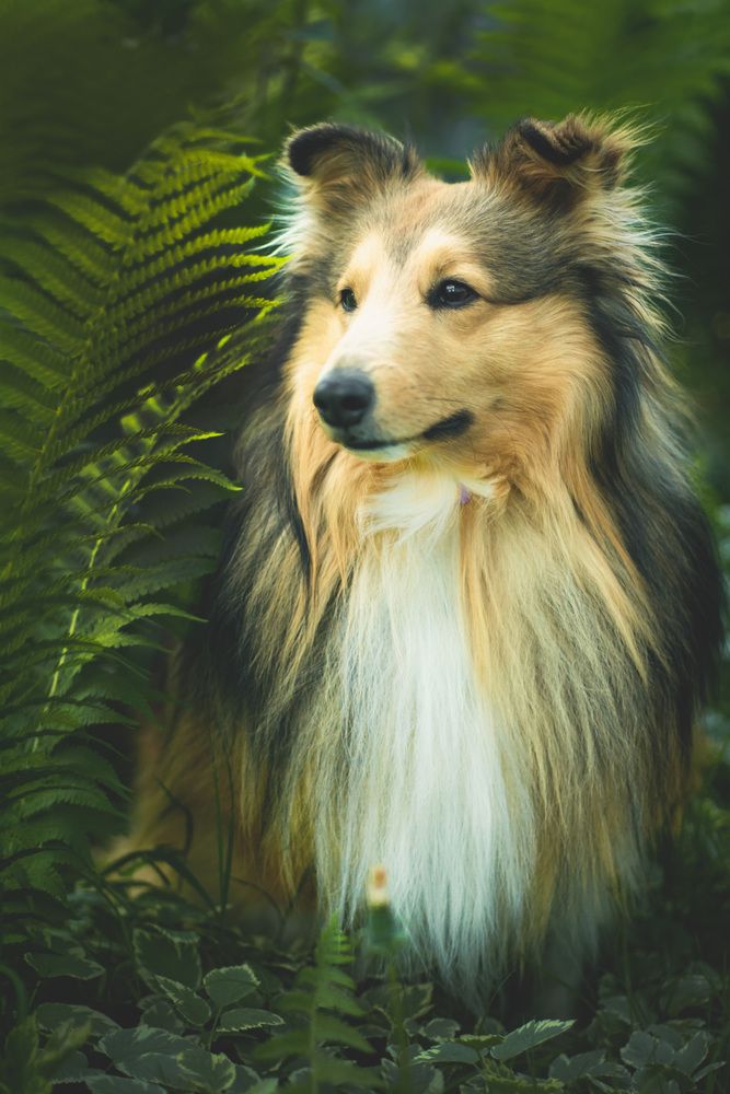 Photograph by Екатерина Попова