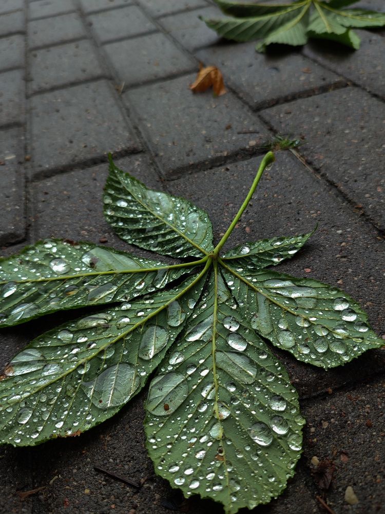 Photograph by Ольга Стебенева