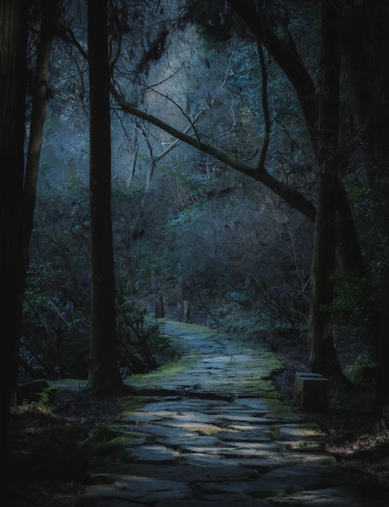 Photograph by Suto Aya