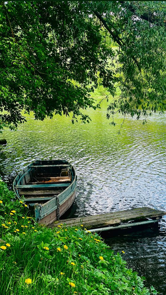 Photograph by Ирина Барышева