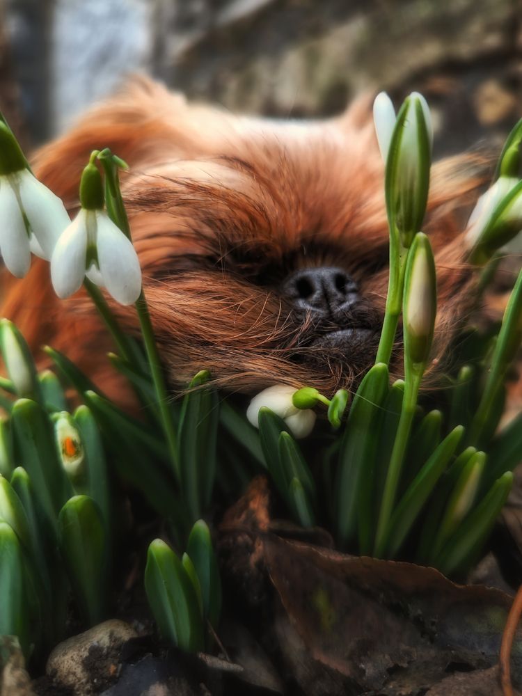 Photograph by Ирина Корх