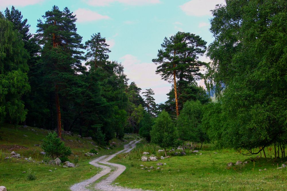 Photograph by Татьяна Сергиенко