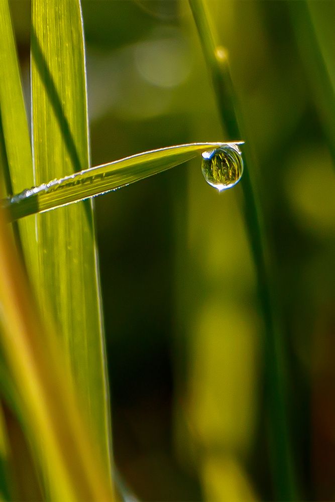 Photograph by Nadezhda Khrustaleva