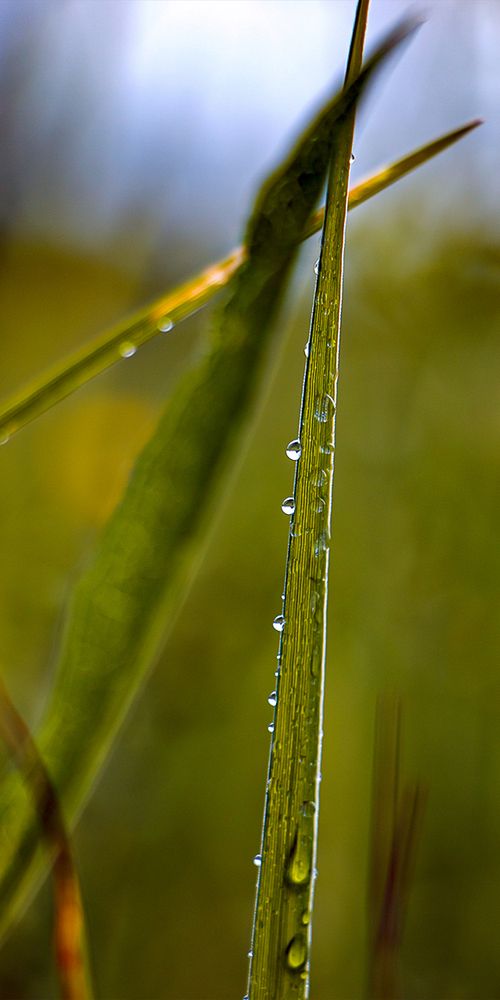 Photograph by Nadezhda Khrustaleva