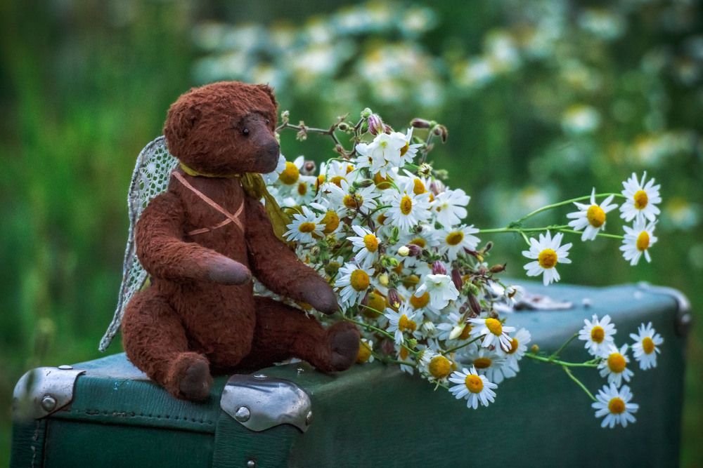 Photograph by Галина Шепелева