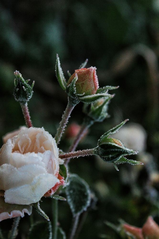 Photograph by Анна Захарчук
