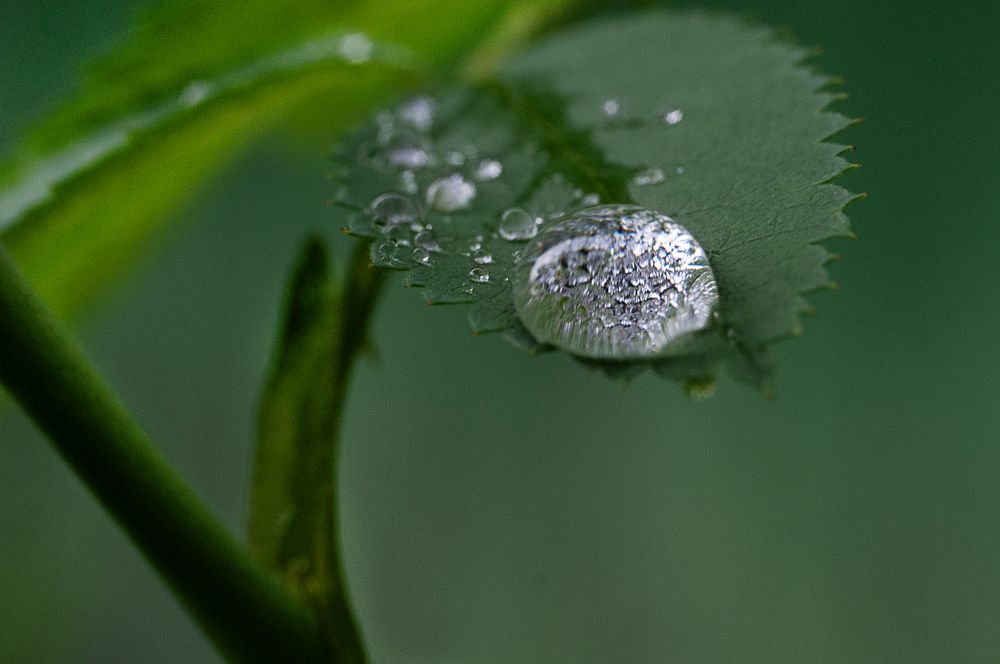 Photograph by YURIY TSARENKO