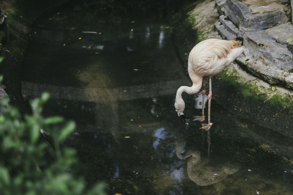 Photograph by Nam Nguyễn Hoài