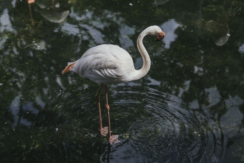 Photograph by Nam Nguyễn Hoài