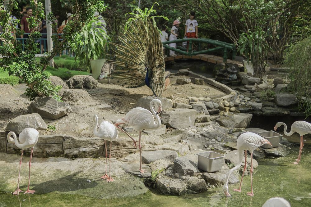 Photograph by Nam Nguyễn Hoài