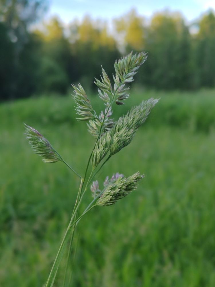 Photograph by Людмила Сарыцина