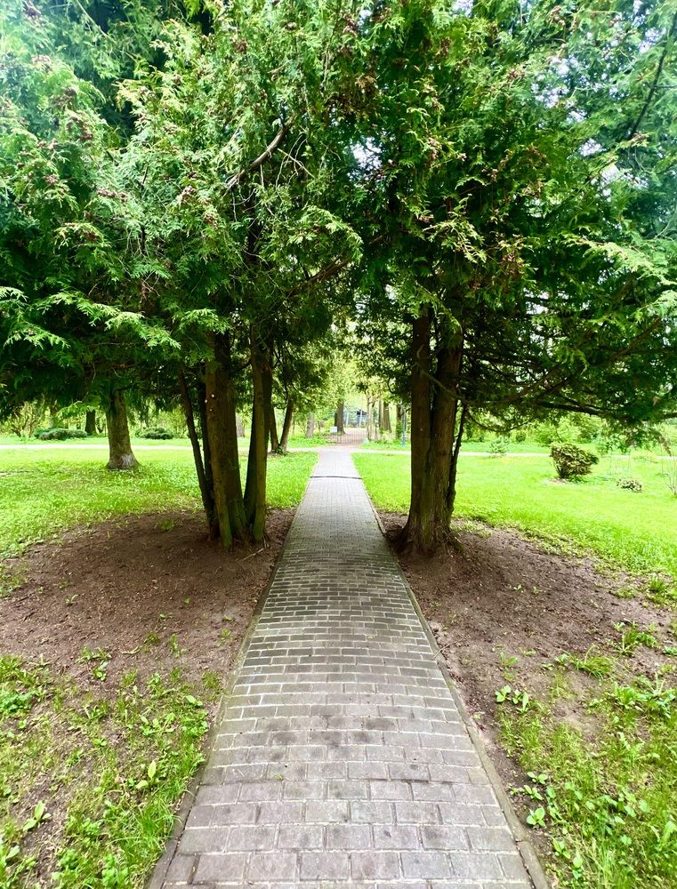 Photograph by Сюзанна