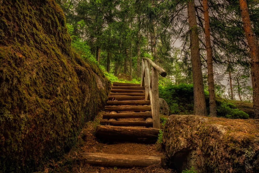 Photograph by Dinara Tleshaeva