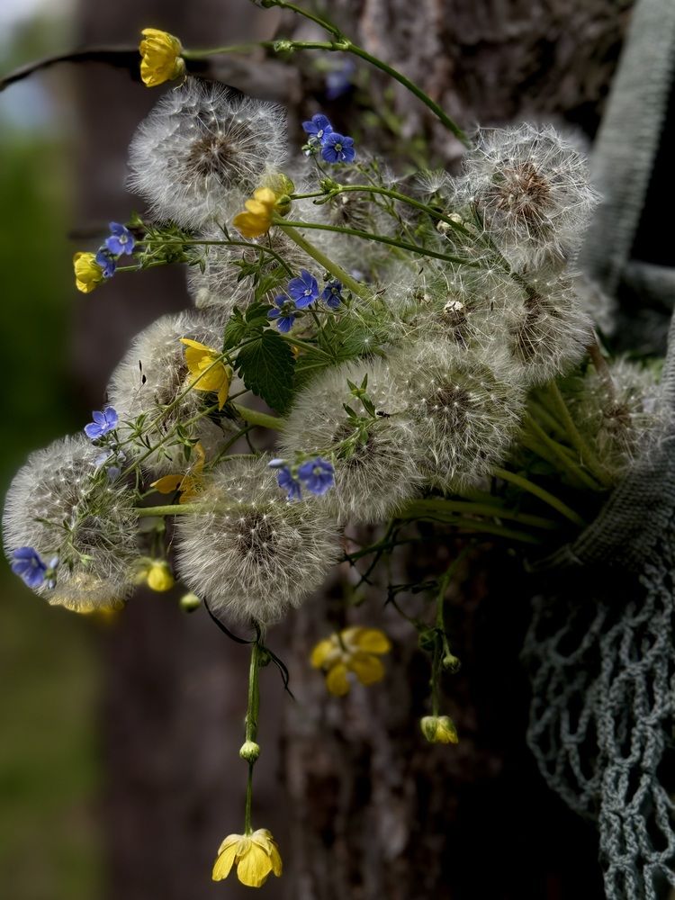 Photograph by Валентина Колесова
