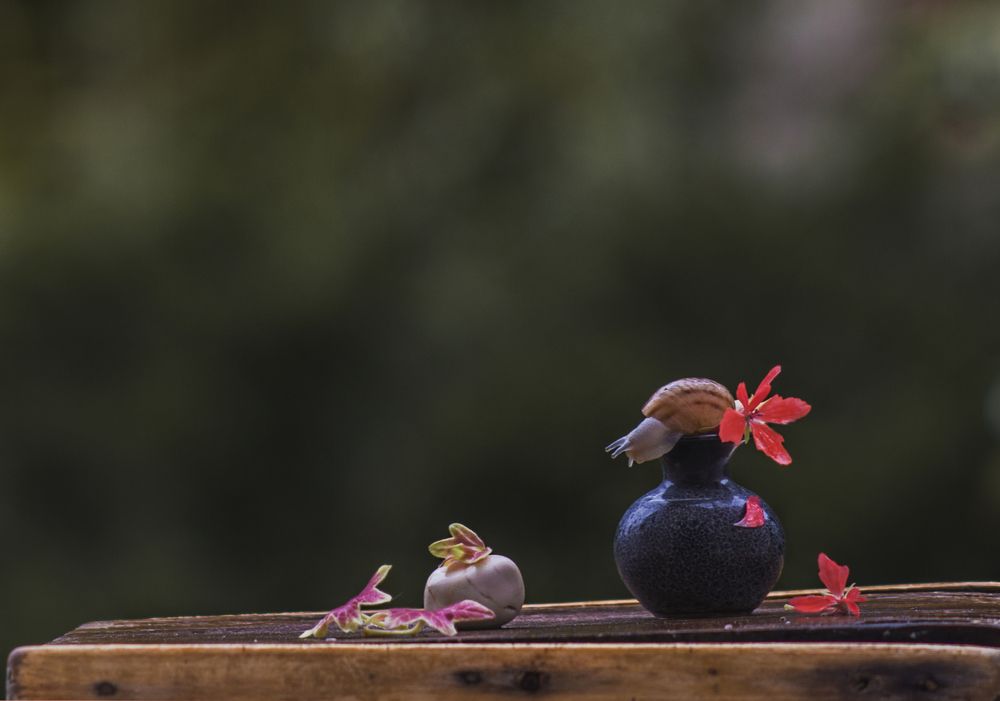 Photograph by Солодар Виктория