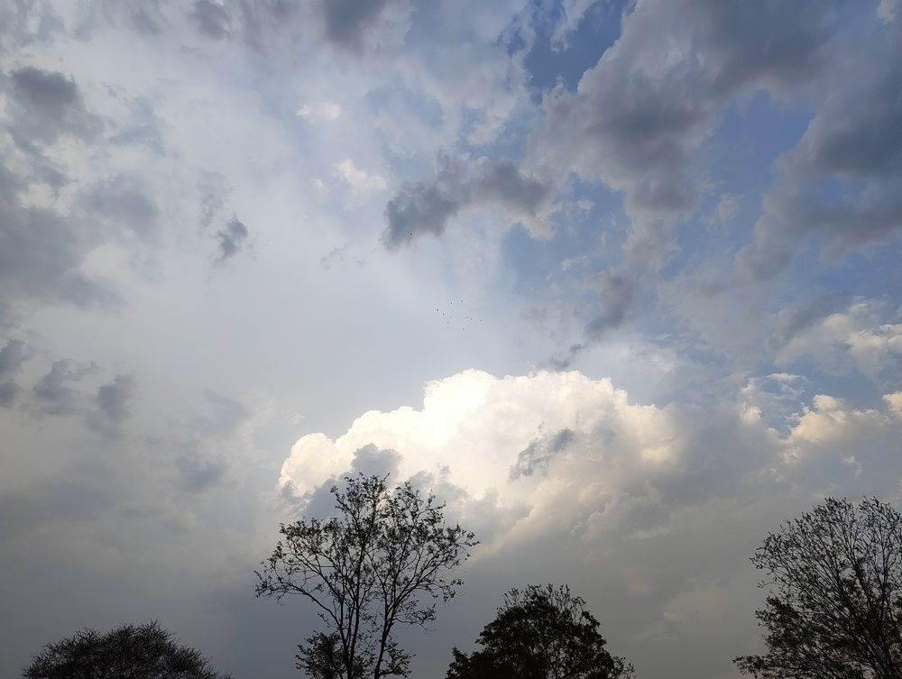 Mobile photography