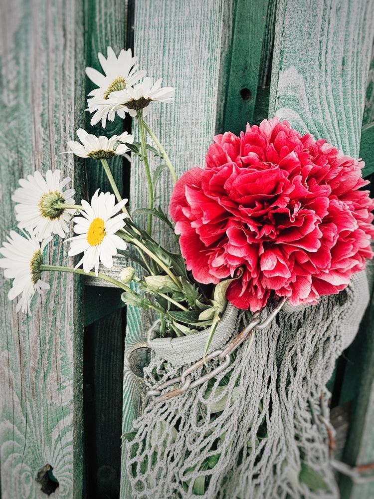 Photograph by Валентина Колесова