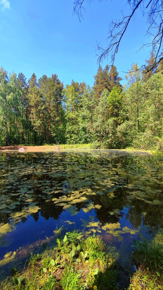Photograph by Венера Иванова