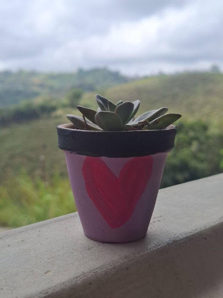 Photograph by Yajaira Silva