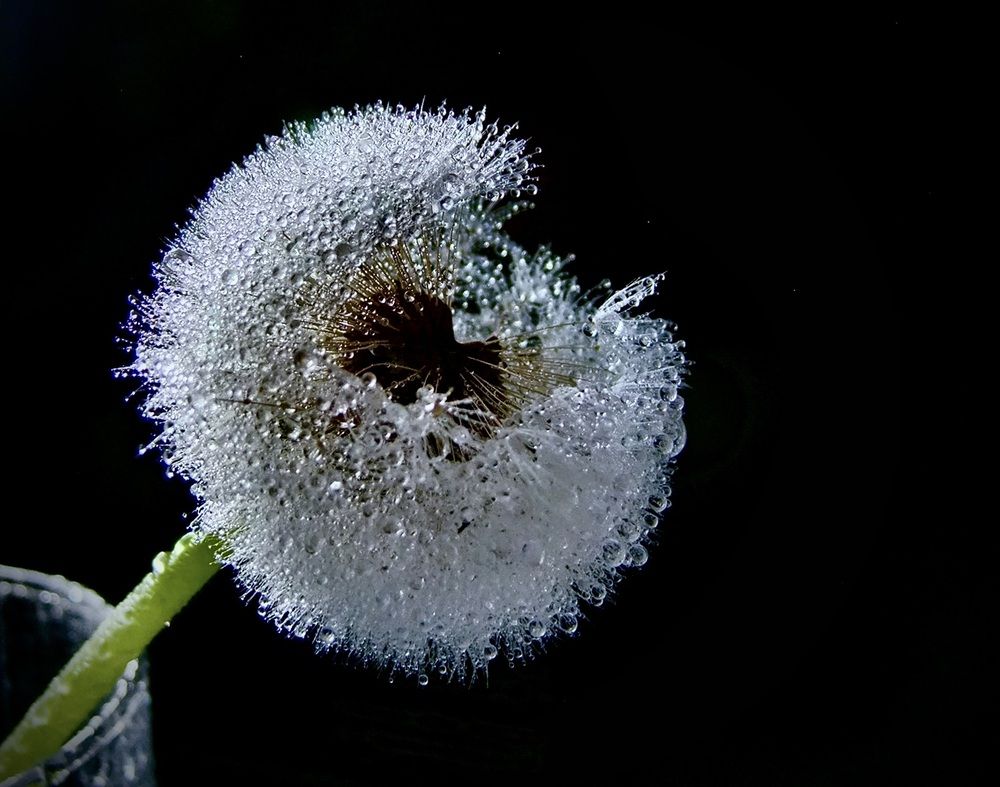Photograph by Татьяна Шитлина