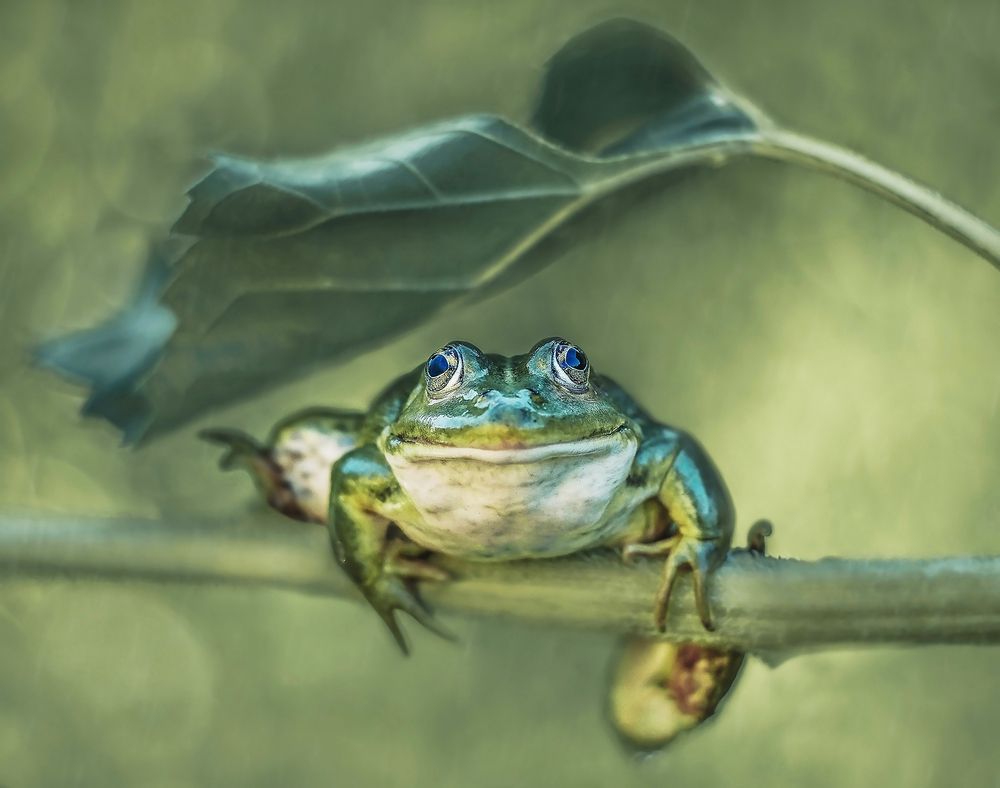 Photograph by Дарья Яновцева