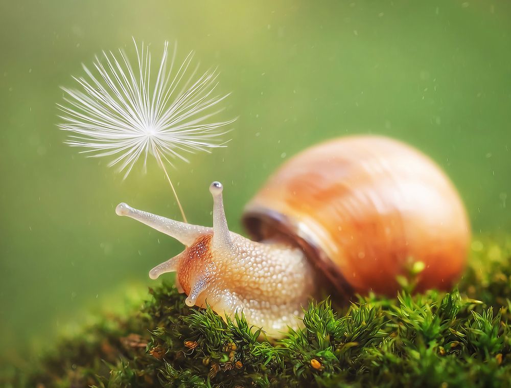 Photograph by Дарья Яновцева
