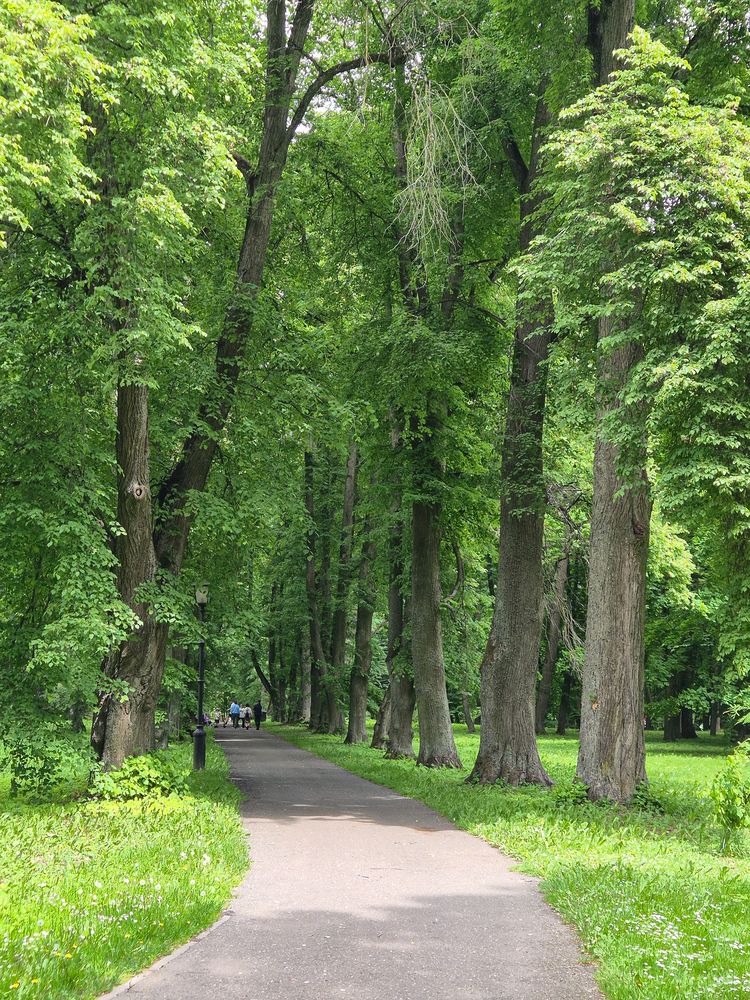 Photograph by Татьяна Вирясова
