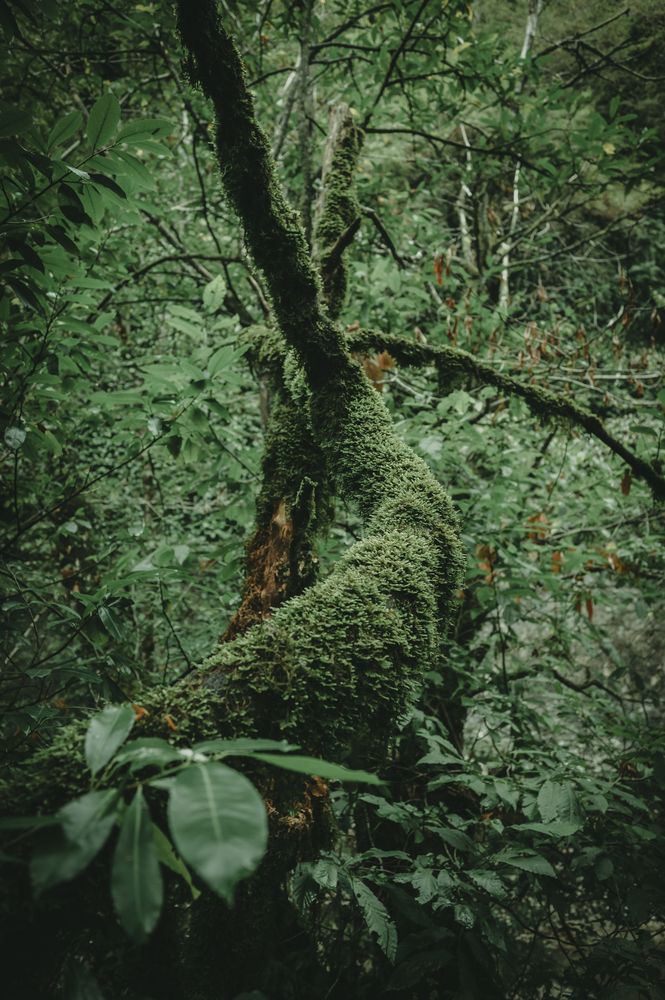 Photograph by Маргарита Матвеенкова