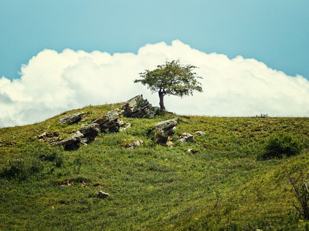 Photograph by Анатолий Павлович