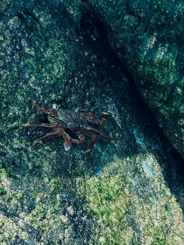 Photograph by Ксения Гулькова