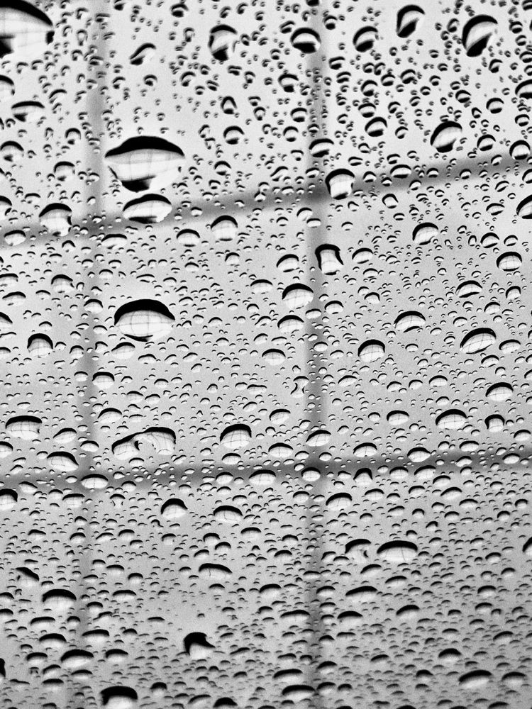 Photo #13630643