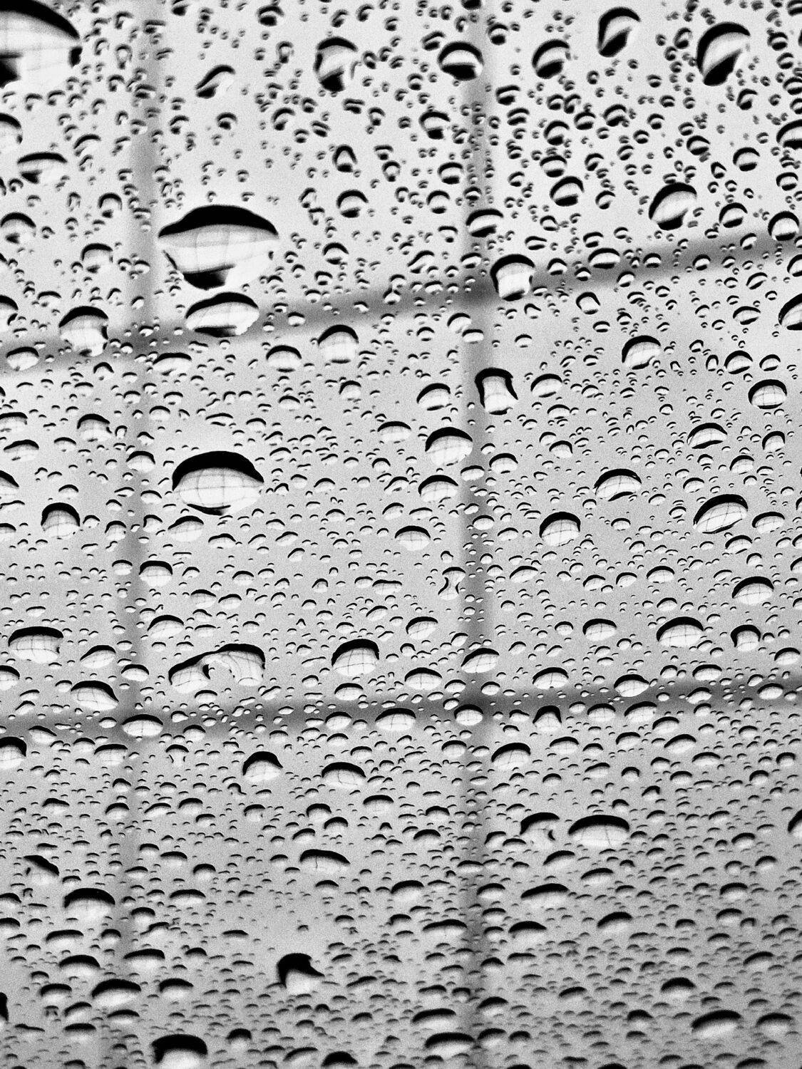 Photo #13630643