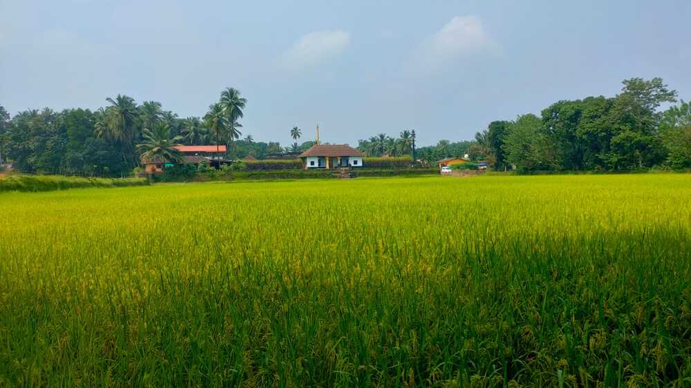 Monsoon’s Blanket