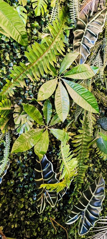 Photograph by Валентин Волк