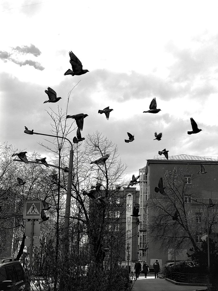 Полёт