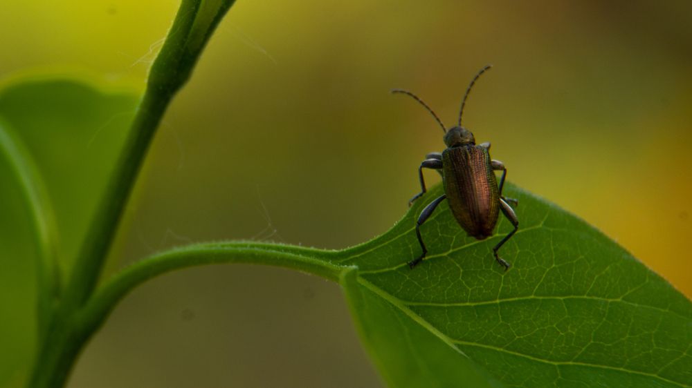 Photograph by Нина Малютина