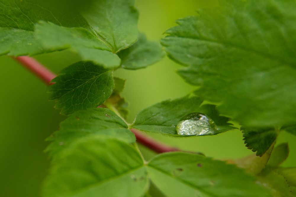Photograph by Нина Малютина
