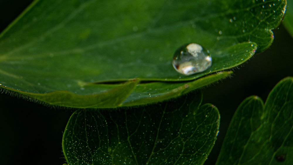Photograph by Нина Малютина