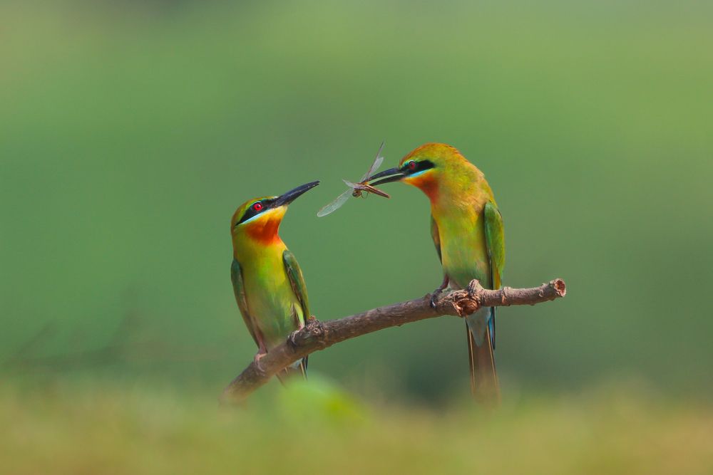 Photograph by RINI GHOSH