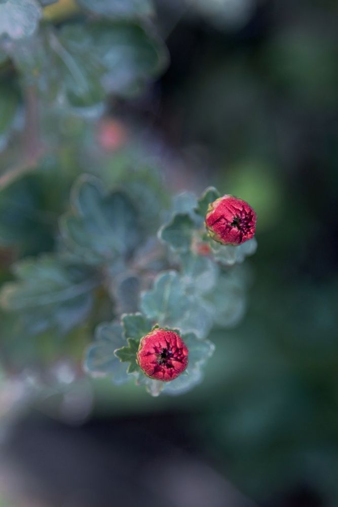 Photograph by Виктория Бурлака