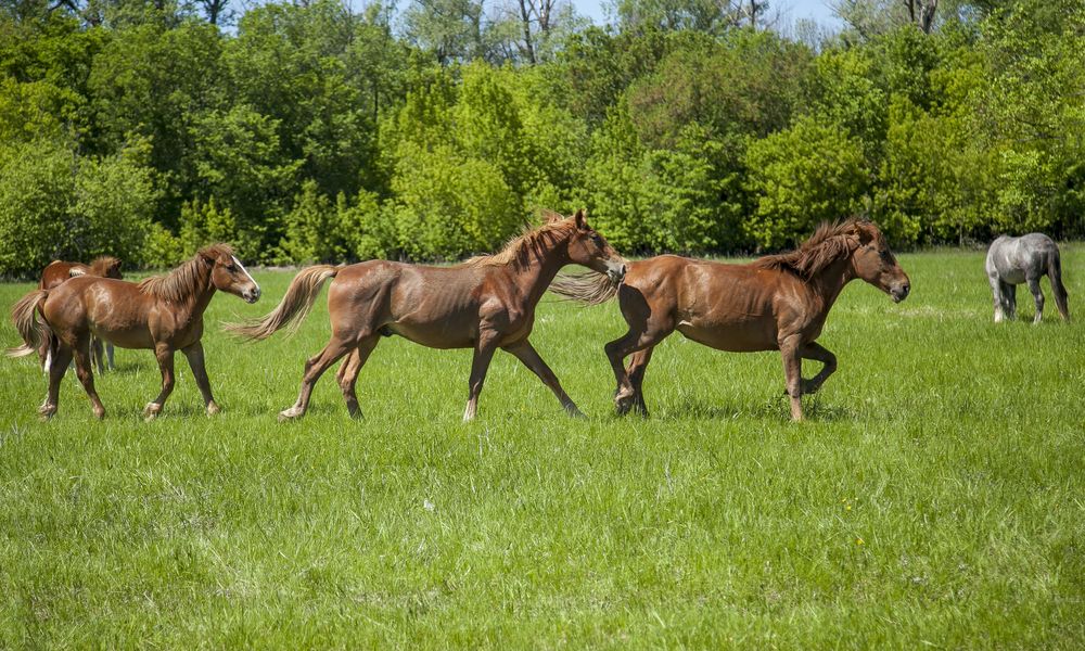 Photograph by Татьяна Клименко