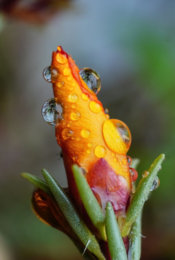 Photograph by Елена