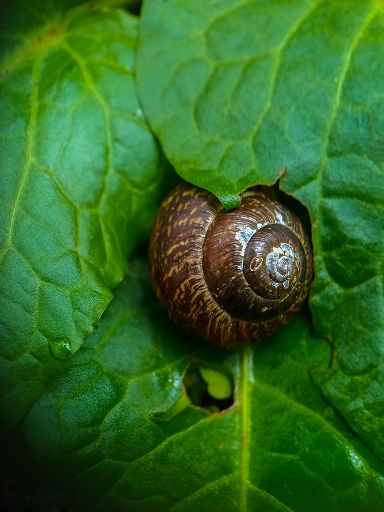Photograph by Нина Малютина