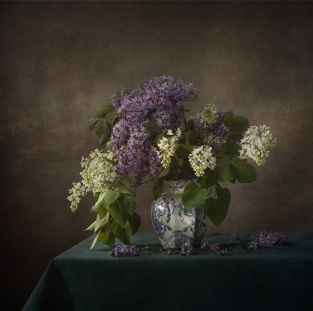 Photograph by Александрова Александра