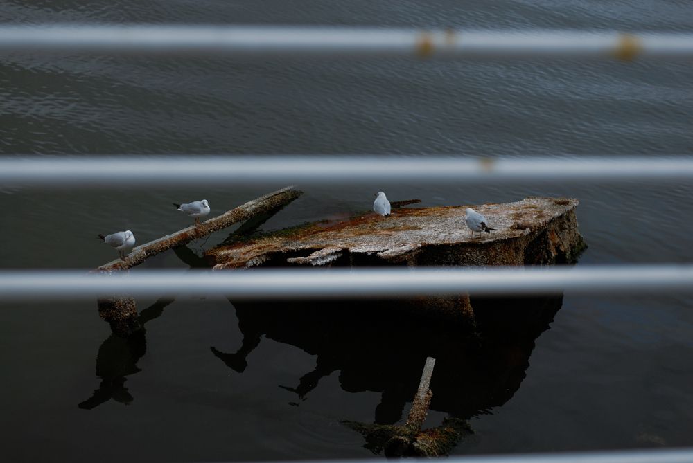Rust and Silence