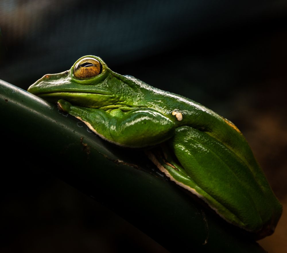 Photograph by Анна Стрелковская