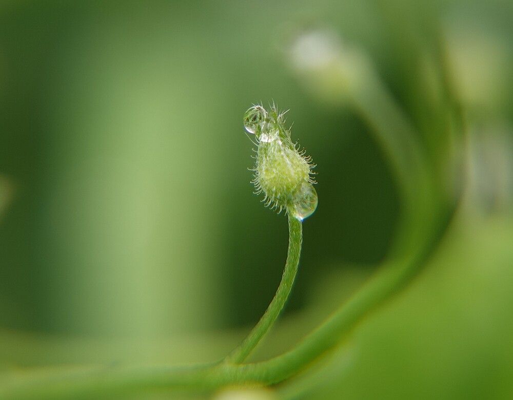 Photograph by Zakharov Matvey