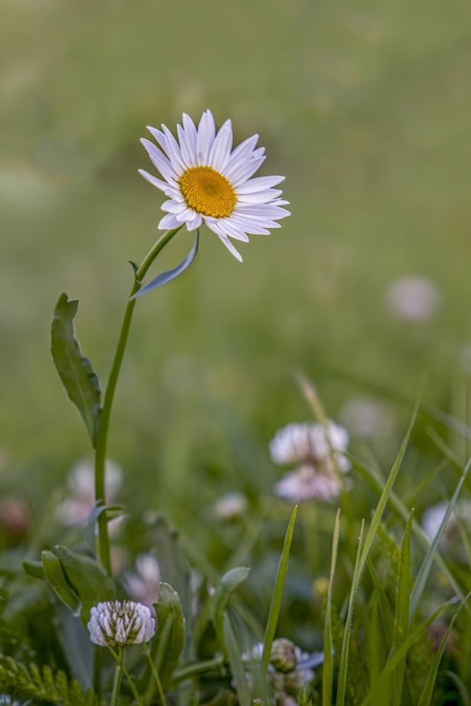 Photograph by Лариса Рулёва